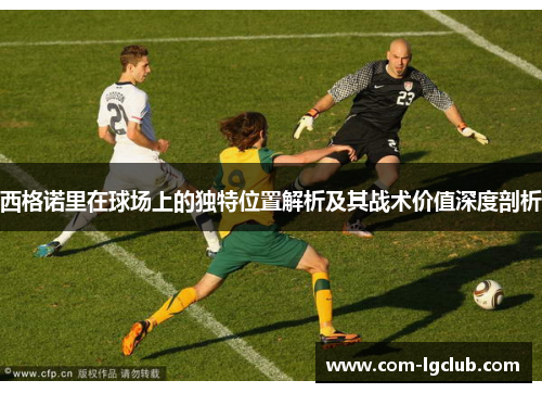 西格诺里在球场上的独特位置解析及其战术价值深度剖析 西格诺里在球场上的独特位置解析及其战术价值深度剖析