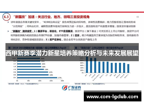 西甲新赛季潜力新星培养策略分析与未来发展展望