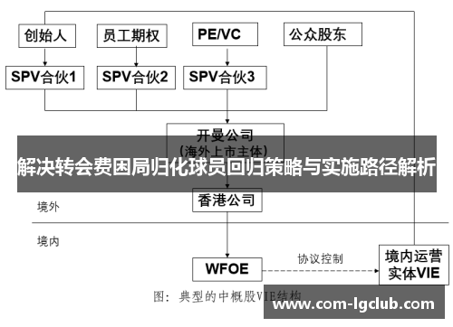 解决转会费困局归化球员回归策略与实施路径解析