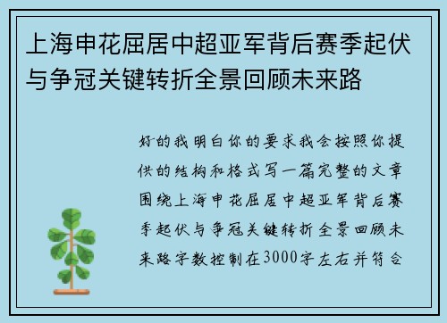 上海申花屈居中超亚军背后赛季起伏与争冠关键转折全景回顾未来路